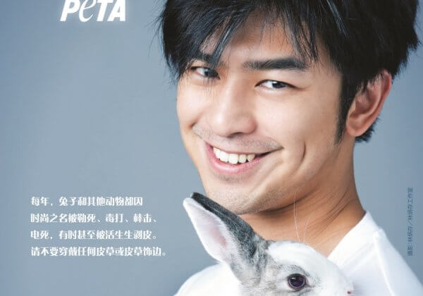 Animal Rights Is Gaining Serious Ground in China