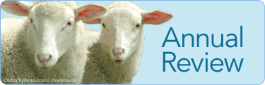 annual-review-2013