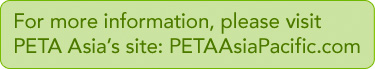 For More Information Please Visit: PETAAsiaPacific.com