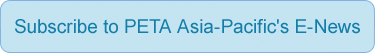 Subscribe to PETA Asia Pacific's E-News