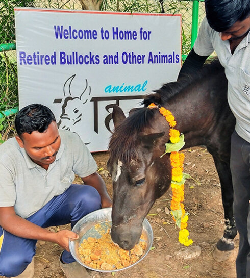 Animal Rahat 001