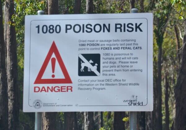 ‘Horrific’ – How 1080 Poisoning Leaves Animal Guardians Feeling Powerless