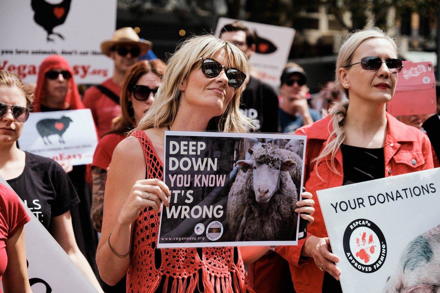 These Photos Show Australia Is Leading the Way in Animal Activism