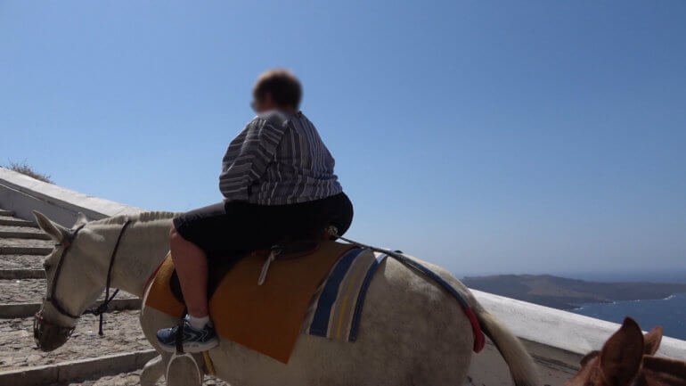 Tourists of all weights are still being permitted to take rides