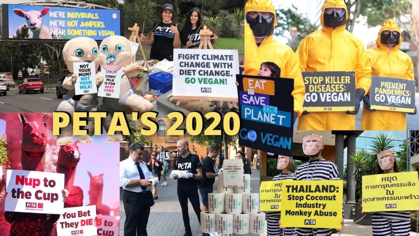 PETA’s 2020: How You Helped Us Help Animals