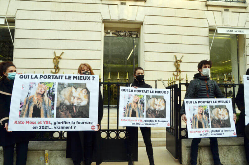 Image shows PETA France demonstration