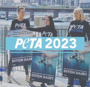 PETA Australia’s Victories for Animals in 2023