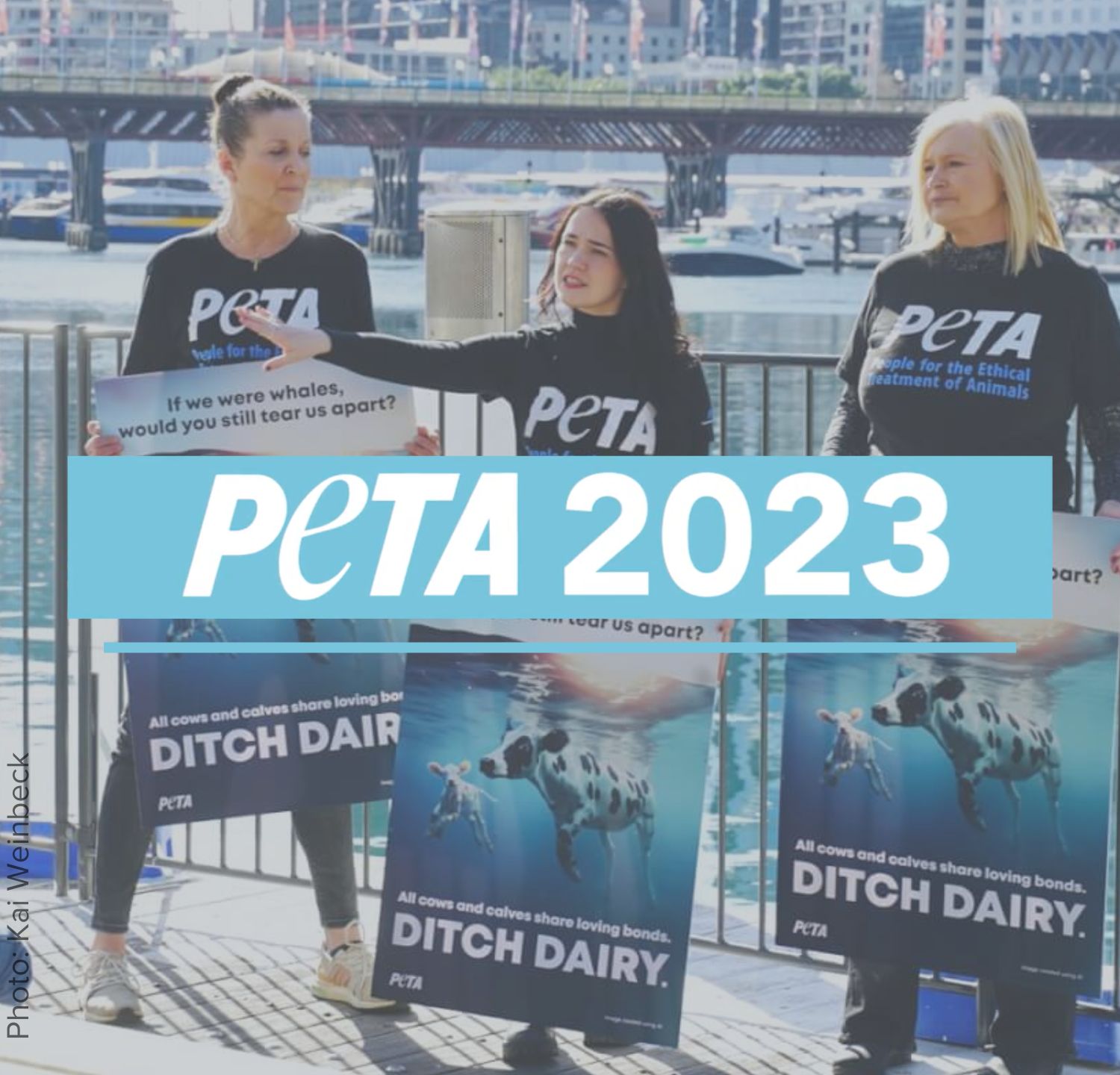 PETA Australia’s Victories for Animals in 2023