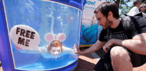 VICTORY! University of Melbourne Bans Near-Drowning Tests on Animals After PETA Push