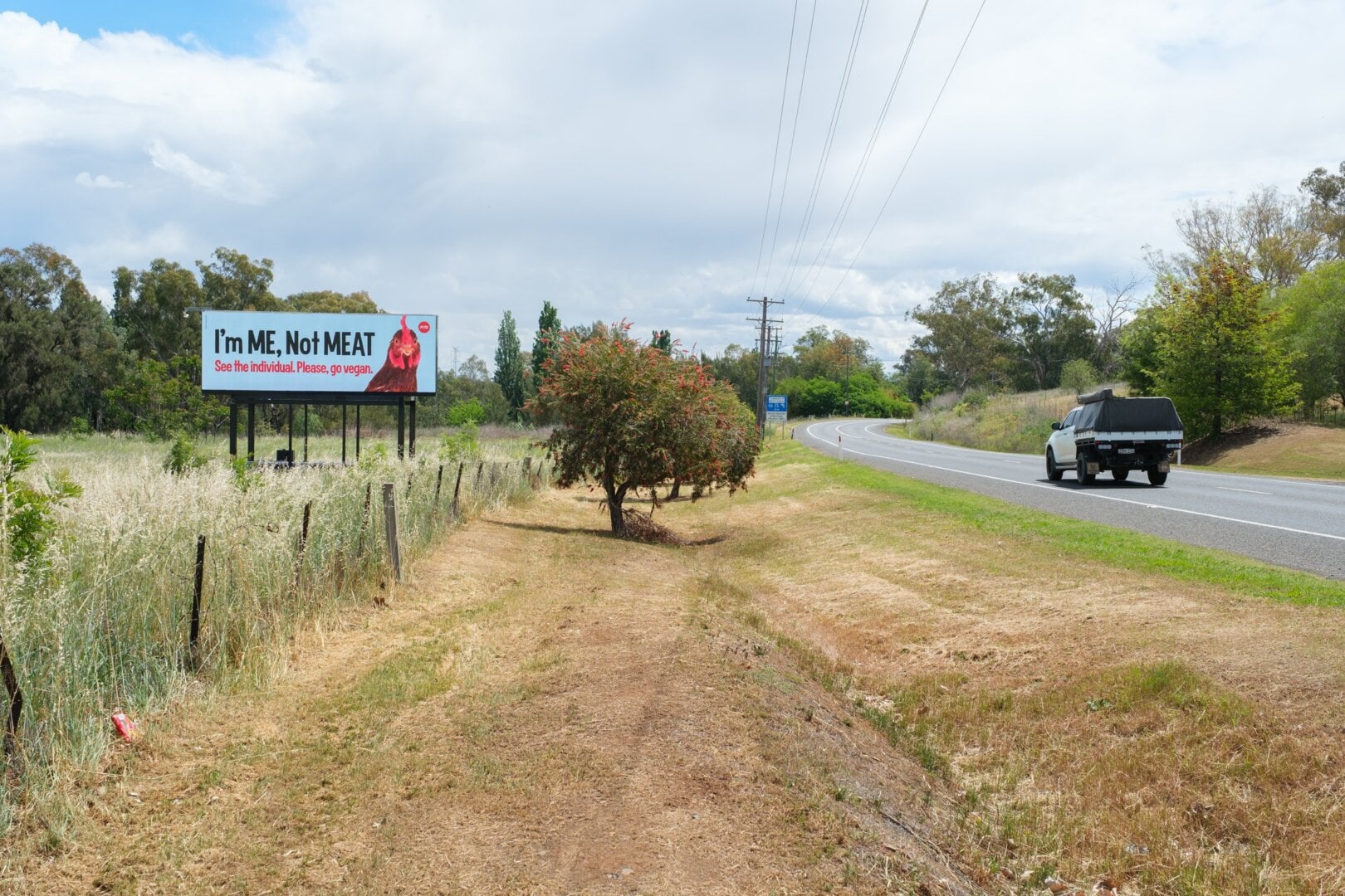 “See Me, Not Meat” New PETA Billboard Targets Baiada’s New Tamworth Home