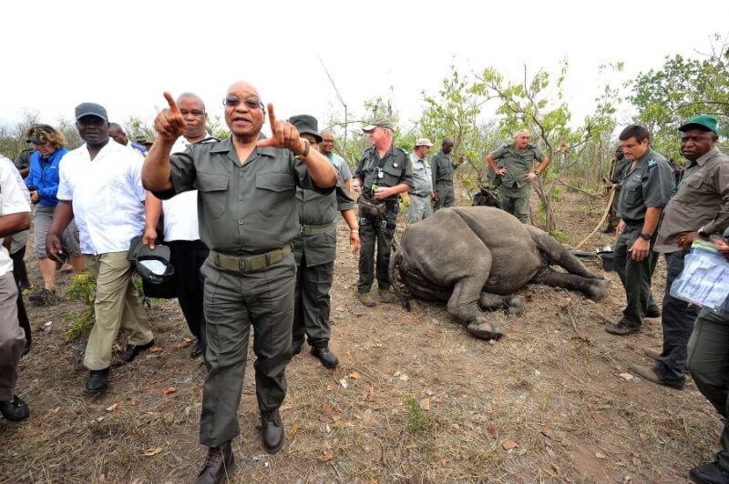 President Jacob Zuma leads Anti-Rhino Poaching Awareness Day, 1 Nov 2015