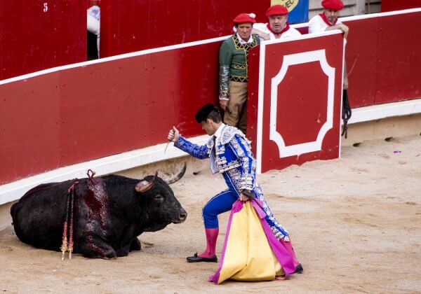 A matador prepares to deal the final blow to a bull during a bullfight.