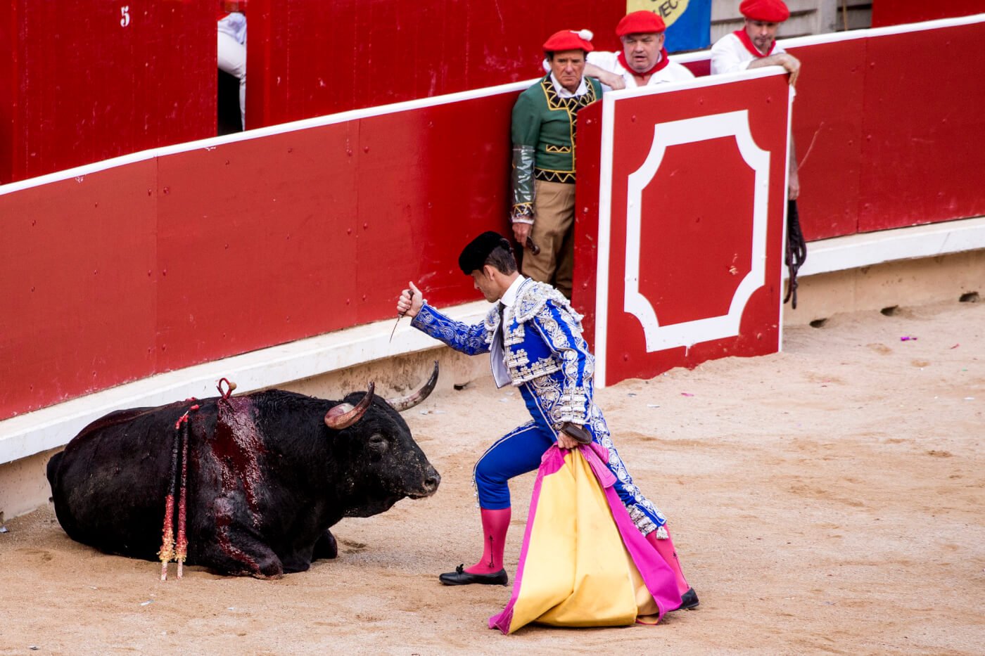 A matador prepares to deal the final blow to a bull during a bullfight.
