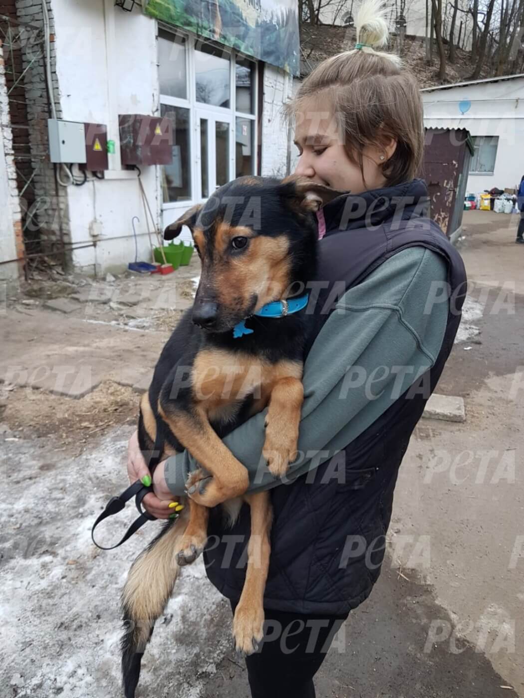 Abandoned dog taken from Ukraine to Poland