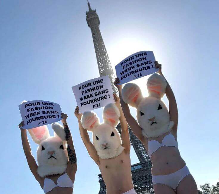 PETA 'Bunnies' Protest Fur.
