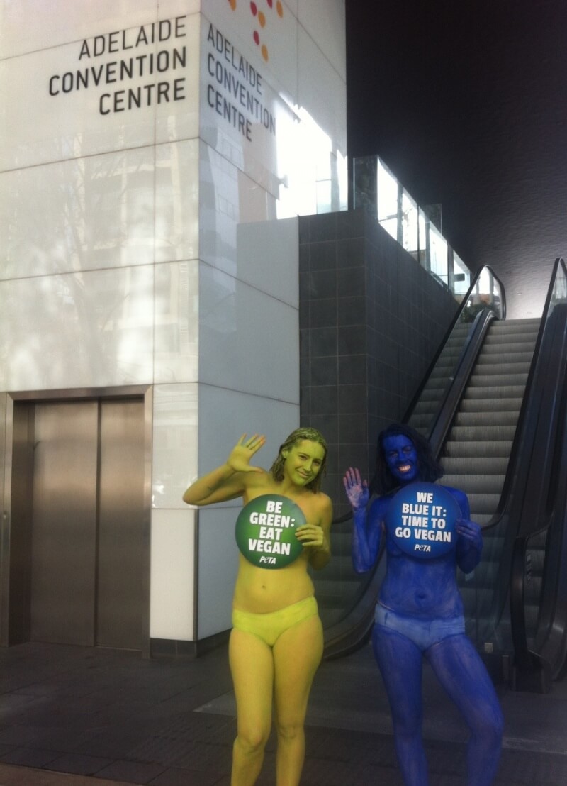 Adelaide Climate Demo PETA