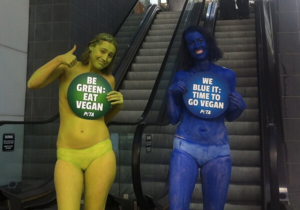 Activists Urge: Go Vegan to Fight Climate Change!