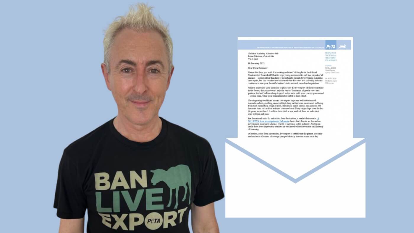 Alan Cumming wears a "ban live export" t-shirt