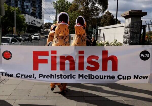 ‘Dinosaur’ Dash at Flemington Protests Melbourne Cup