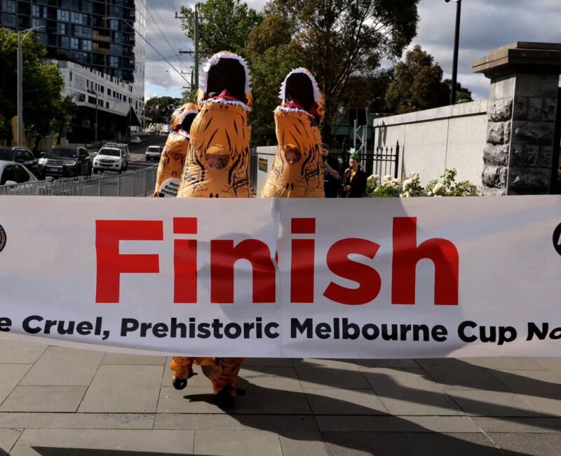 dinosaurs cross the fish line. Banner reads: Finish the Cruel, Prehistoric Melbourne Cup