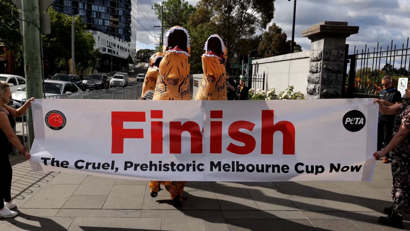 dinosaurs cross the fish line. Banner reads: Finish the Cruel, Prehistoric Melbourne Cup