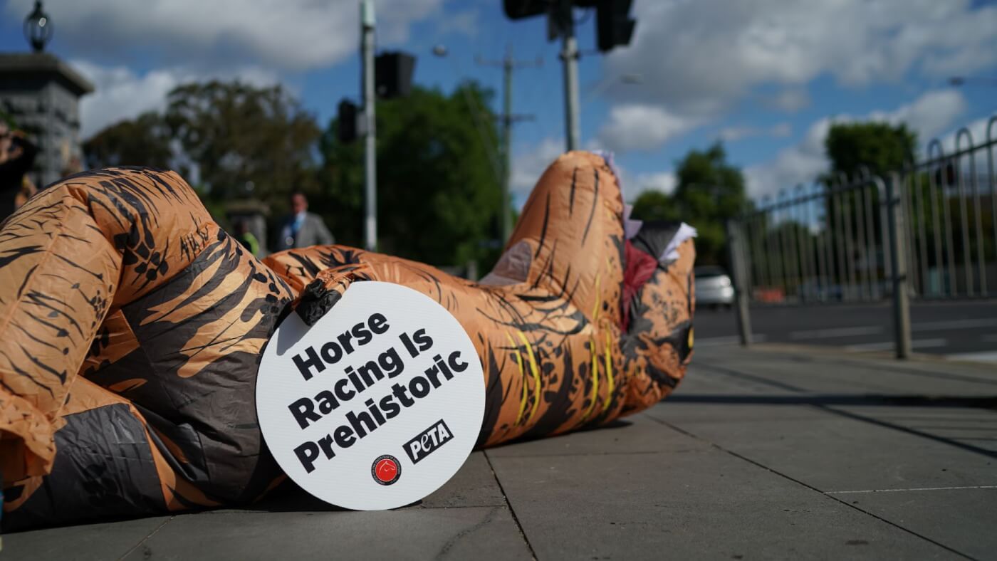 a dinosaur lies on the ground with a sign reading "Horse Racing is Prehistoric"