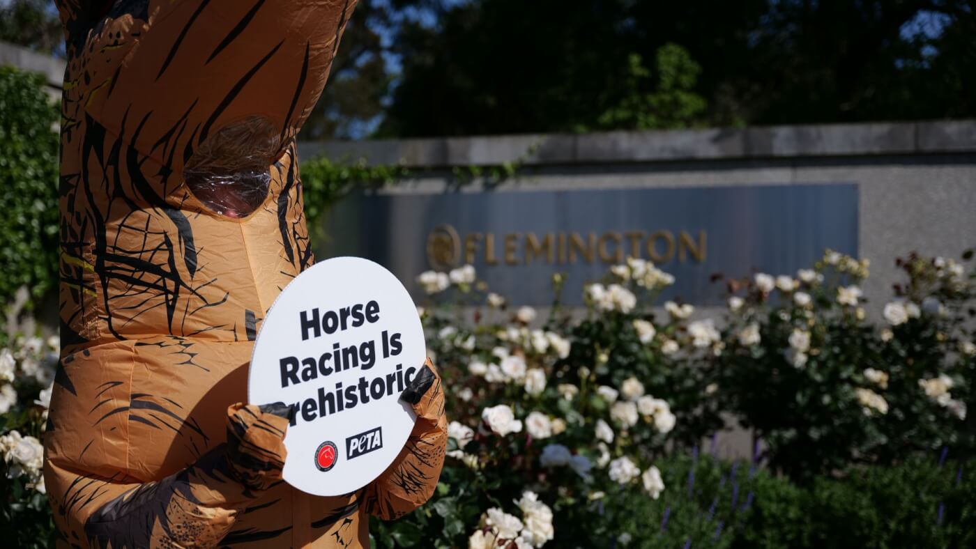 a person in a dinosaur suit holds a sign which says "Horse Racing is Prehistoric"