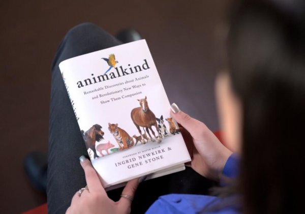 Read ‘animalkind’ to Discover Revolutionary Ways to Practice Kindness