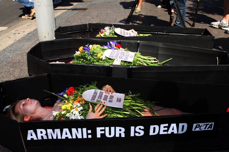 Armani: Fur Is Dead