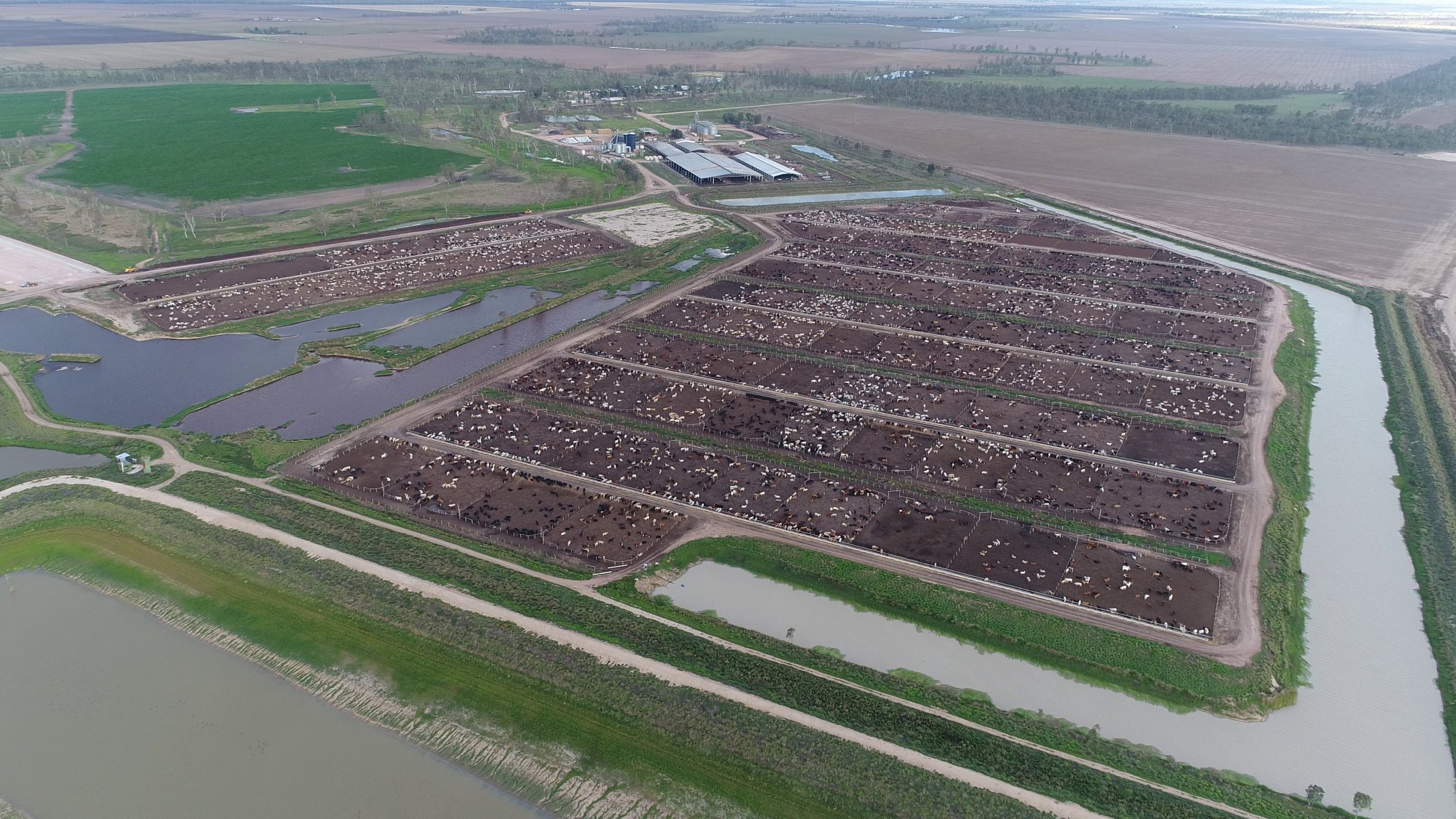 Lemontree Feedlot