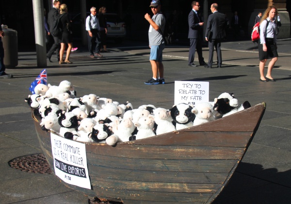 PETA’s Cutest, Saddest Protest Ever