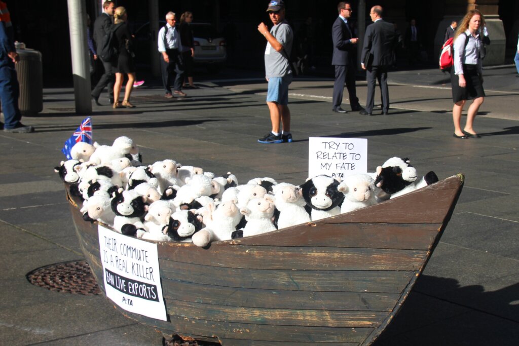 PETA Australia live export protest