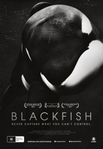 blackfish poster