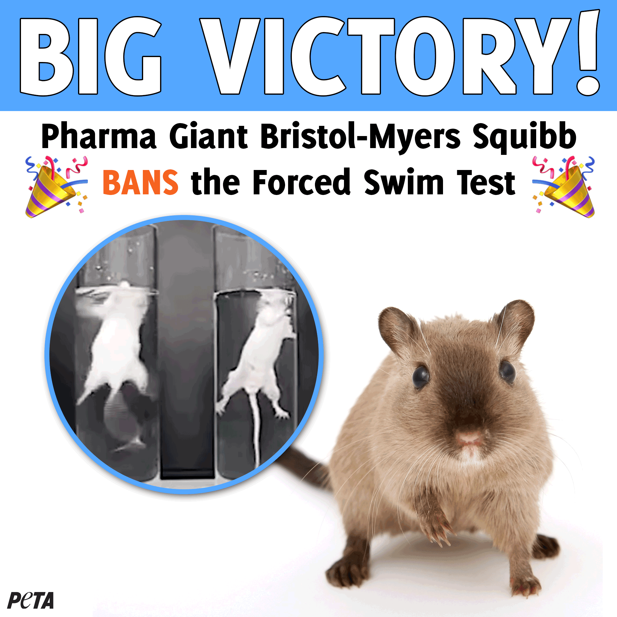 Bristol-Myers Squibb