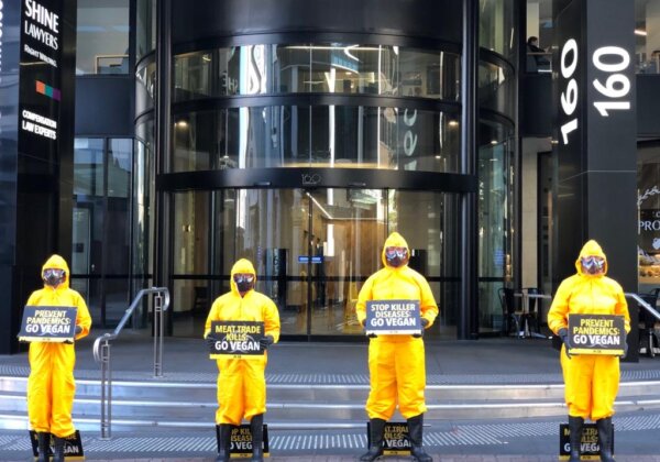 Protesters dressed in hazmat suits in Brisbane.