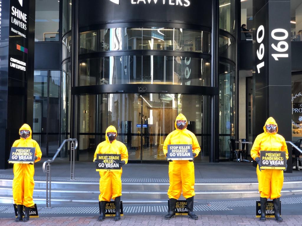 Protesters dressed in hazmat suits in Brisbane.