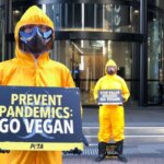 Protesters dressed in hazmat suits in Brisbane.