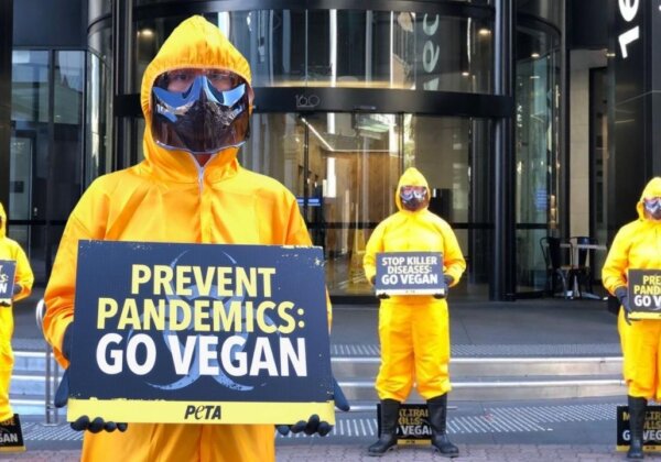 Protesters Clad in Hazmat Suits Take Vegan Message to Brisbane