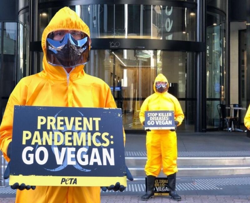 Protesters dressed in hazmat suits in Brisbane.