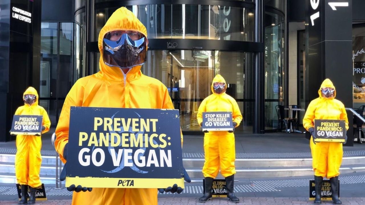 Protesters dressed in hazmat suits in Brisbane.