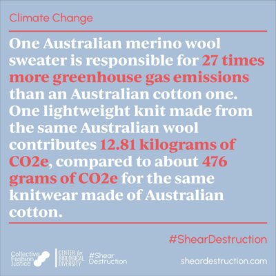 One Australian merino wool sweater is responsible for 27 times more greenhouse gas emissions than an Australian cotton one. One lightweight knit made from the same Australian wool contributes 12.81 kilograms of CO2e compared to about 476 grams of CO2e for the same knitwear made of Australian cotton.