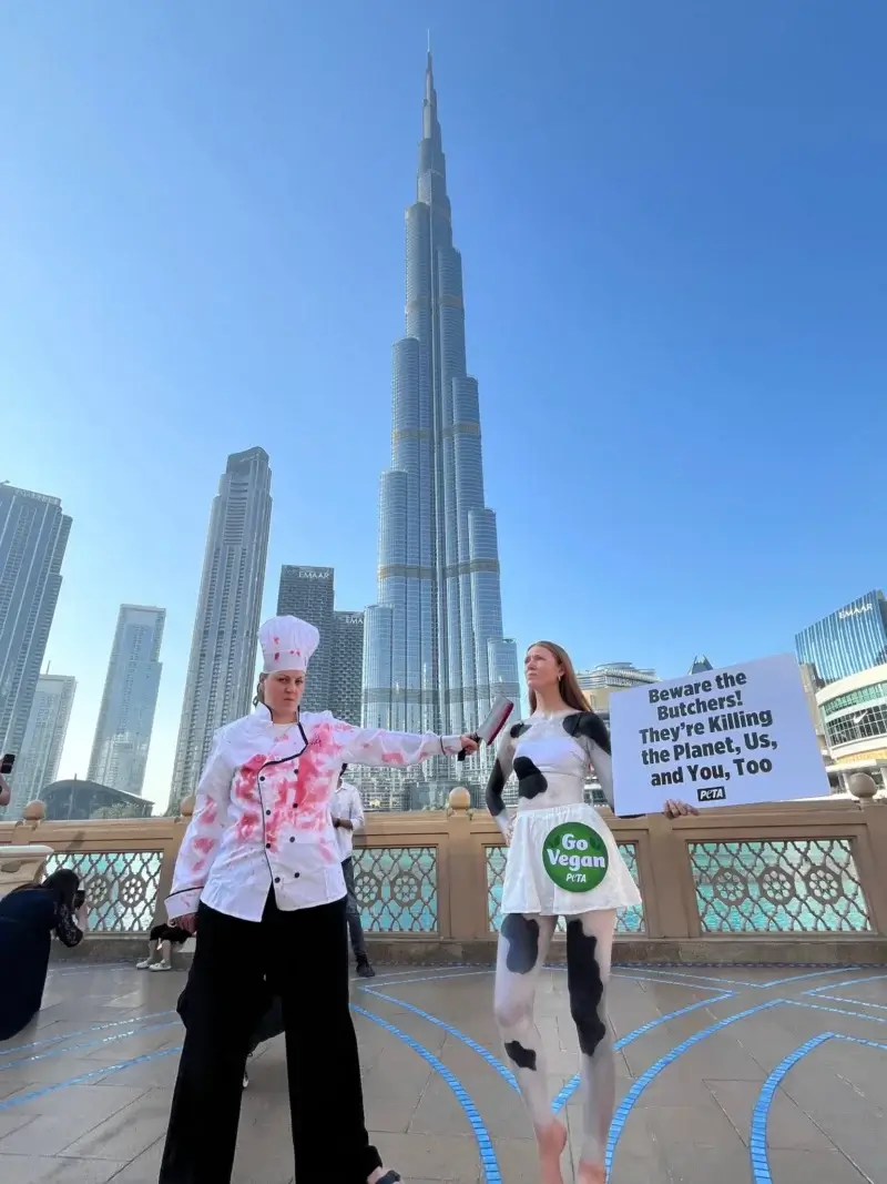 PETA ‘Cow’ and ‘Butcher’ Hit COP28 With Anti-Meat Message