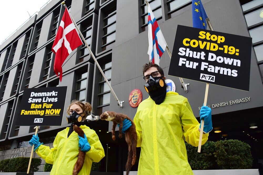 Protesters call for fur farm shut down during COVID-19 pandemic