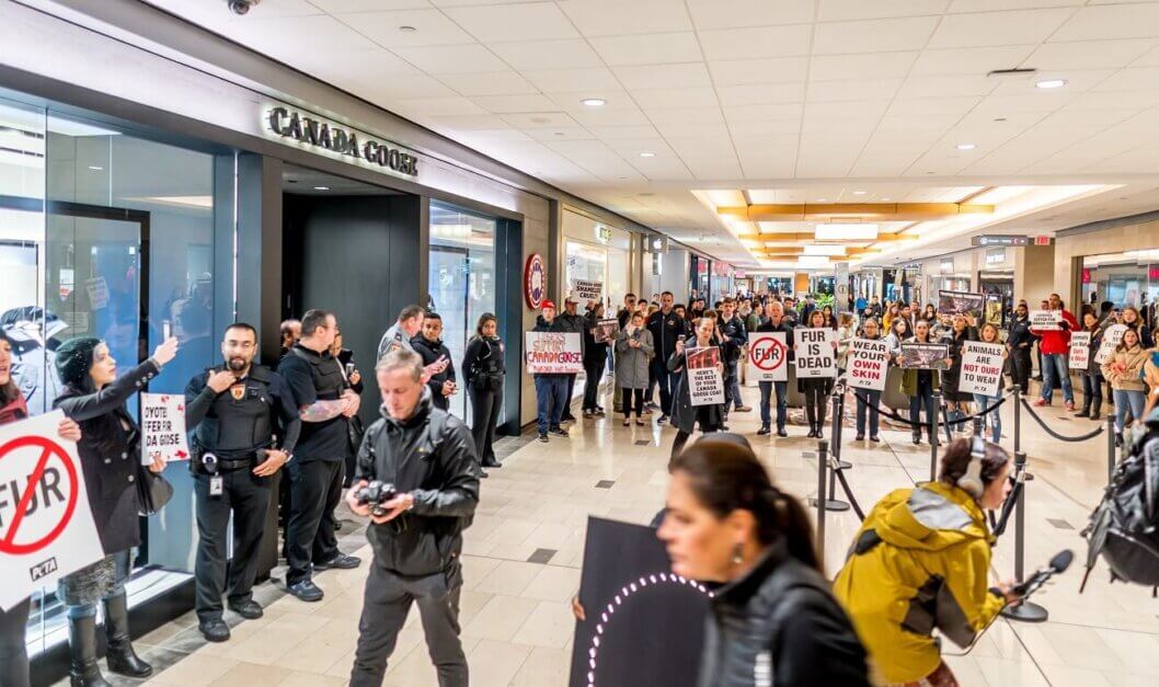 Canada Goose Protest at Vancouver Mall
