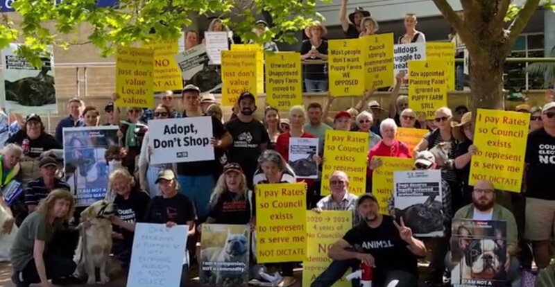 Animal Liberation and concerned community members outside council chambers objecting to Palm Grove French bulldog puppy farm.