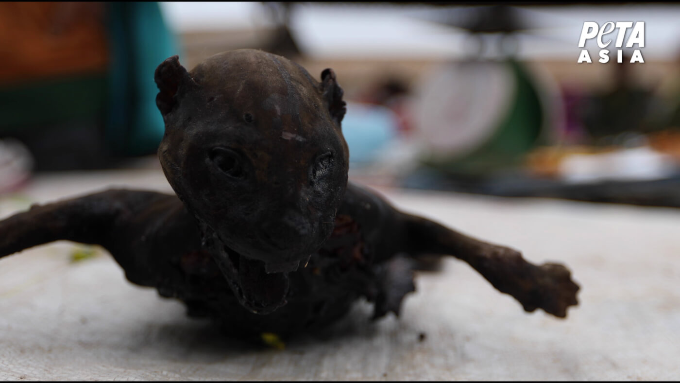 A civet cat sold for food at a market.