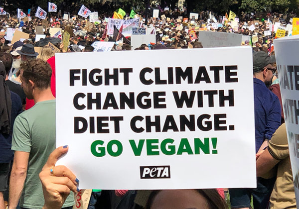 PETA Climate Strike