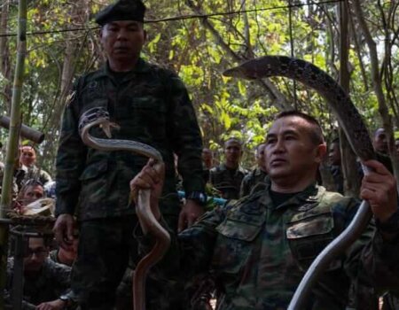 Image shows soldier holding snakes
