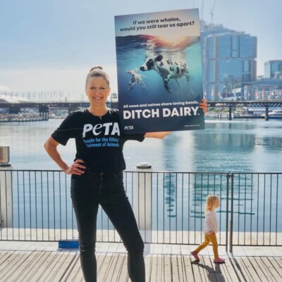 Whale Migration Inspires PETA Ad – Mother Cows Love Their Calves Just as Whales Love Theirs