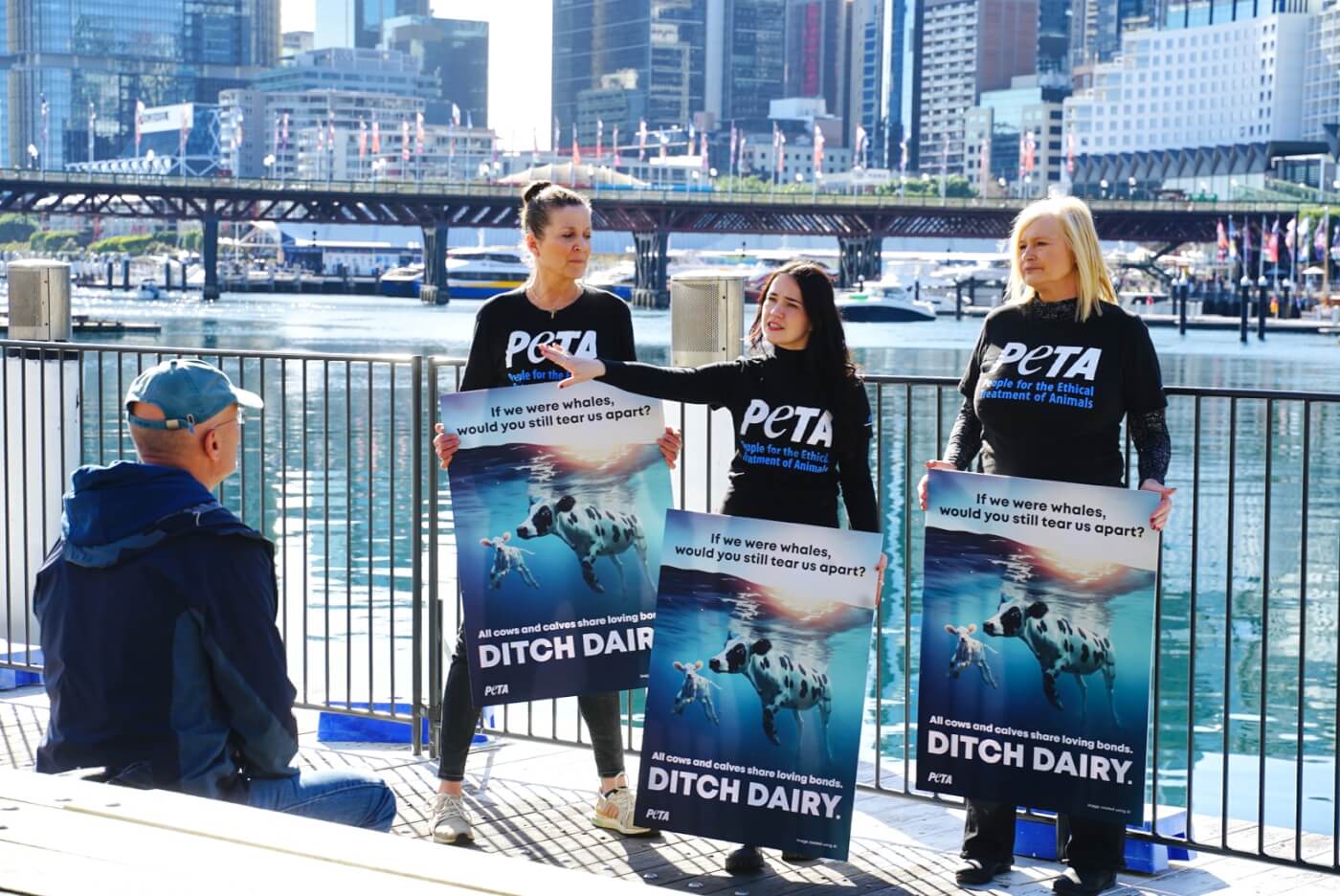 Whale Migration Inspires PETA Ad – Mother Cows Love Their Calves Just as Whales Love Theirs